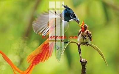 File gốc File gốc in tranh nền tường tổng hợp K61322 (in 3D) nghệ thuật