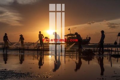 File tranh File gốc in tranh nền tường tổng hợp K61417 (bản gốc) in lụa 3D