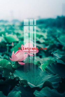 Tệp tin gốc File gốc in tranh nền tường tổng hợp K61810 (dùng cho in ấn) chuyên nghiệp