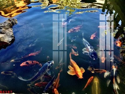 File gốc in ấn File gốc in tranh tổng hợp K6187 độ phân giải cao