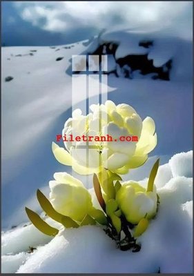 File gốc File gốc in tranh nền tường tổng hợp K62071 (chủ đề hiện đại) trang trí