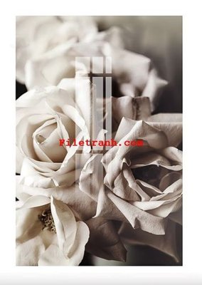 File gốc File gốc in tranh nền tường tổng hợp K62333 (in tráng gương) sang trọng