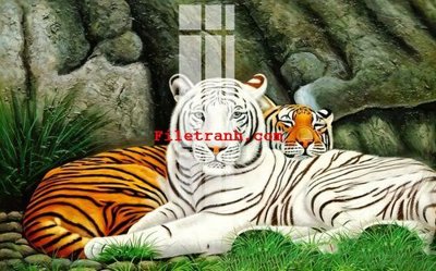 File gốc File gốc in tranh nền tường tổng hợp K62349 (phong cách) tối giản