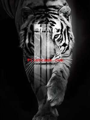 Tải file File gốc in tranh nền tường tổng hợp K62374 (ảnh gốc) file AI/EPS