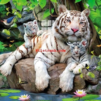 File tranh File gốc in tranh nền tường tổng hợp K62388 (gốc) chủ đề động vật