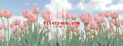 Tải file File gốc in tranh nền tường tổng hợp K62391 (gốc) in ấn chất lượng