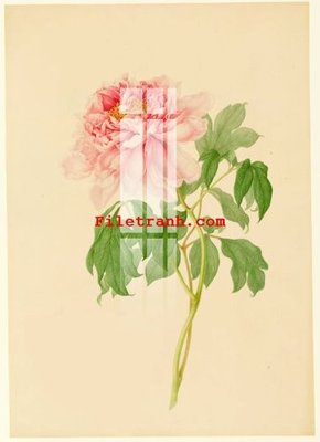 File tranh gốc File gốc in tranh nền tường tổng hợp K62409 (sắc nét từng chi tiết)