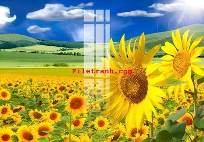 Mua file tranh gốc File gốc in tranh nền tường tổng hợp K62410 tại Filetranh.com