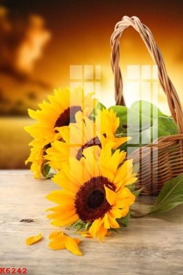 Download file File gốc in tranh tổng hợp K6242 (gốc) in mica ốp bếp