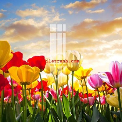 Download file gốc File gốc in tranh nền tường tổng hợp K62431 (in lụa) nghệ thuật