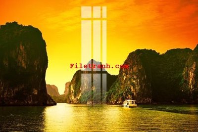 File tranh File gốc in tranh nền tường tổng hợp K62520 (ảnh gốc) chi tiết rõ ràng