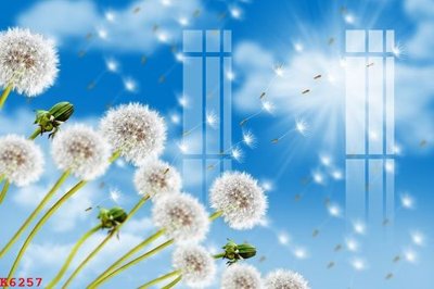 Tải file File gốc in tranh tổng hợp K6257 (PSD) cho in ấn quảng cáo