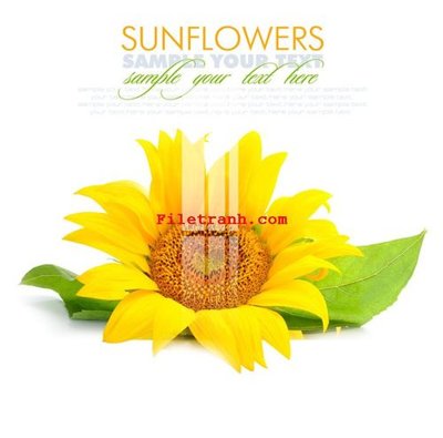 Download file gốc File gốc in tranh nền tường tổng hợp K62583 (in mica) trong suốt