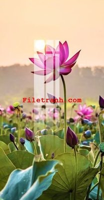 File gốc File gốc in tranh nền tường tổng hợp K62652 (in lụa) chi tiết cao