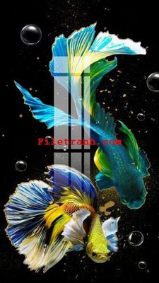 Download file gốc File gốc in tranh nền tường tổng hợp K62679 (in lụa) nghệ thuật