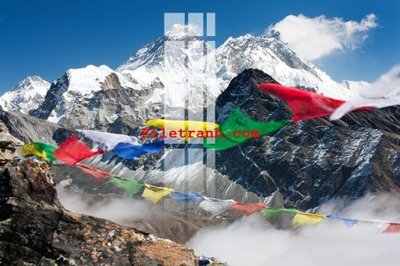 File in ấn cao cấp File gốc in tranh nền tường tổng hợp K62772 (file gốc)