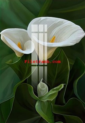 File gốc File gốc in tranh nền tường tổng hợp K63052 (PNG) nền trong suốt