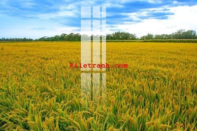 File gốc File gốc in tranh nền tường tổng hợp K63099 (Filetranh.com) File gốc in tranh nền tường tổng hợp K63099