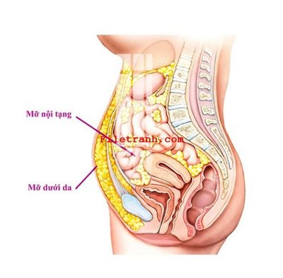 File tranh File gốc in tranh nền tường tổng hợp K63357 (ảnh gốc) chi tiết rõ ràng
