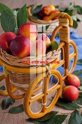 File tranh in mica File gốc in tranh nền tường tổng hợp K63509 (độ phân giải cao)