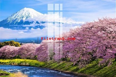 Tệp tin gốc File gốc in tranh nền tường tổng hợp K63535 (chất lượng cao) File gốc in tranh nền tường tổng hợp K63535