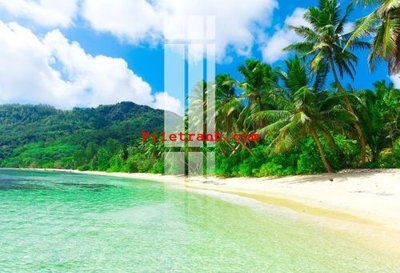 Tải file File gốc in tranh nền tường tổng hợp K63542 (gốc) in tranh tráng gương