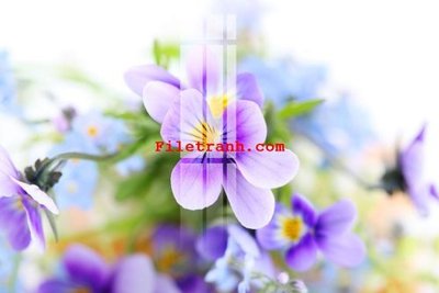 Tải file File gốc in tranh nền tường tổng hợp K63563 (gốc) làm file tranh quảng cáo