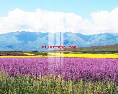 Download file gốc File gốc in tranh nền tường tổng hợp K63580 (in mica) 3D