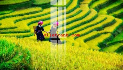 File ảnh File gốc in tranh nền tường tổng hợp K63585 (gốc) in PP, decal