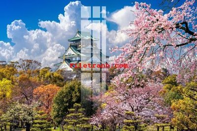 Tải file gốc File gốc in tranh nền tường tổng hợp K63594 (in tráng gương) siêu đẹpFile tranh gốc File gốc in tranh nền tường tổng hợp K63594 chất lượng cao