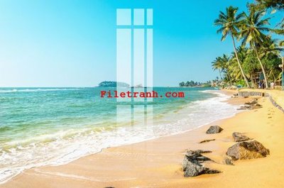 Cung cấp file tranh gốc File gốc in tranh nền tường tổng hợp K63606 độc quyền