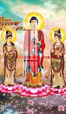 File tranh File gốc in tranh nền tường tổng hợp K63727 (gốc) in film