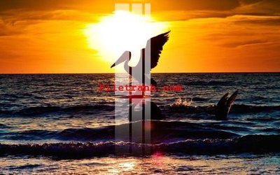 Tải file File gốc in tranh nền tường tổng hợp K63833 (ảnh gốc) in tráng gương