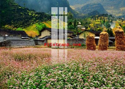 Tải file gốc File gốc in tranh nền tường tổng hợp K64029 (in không vỡ ảnh)