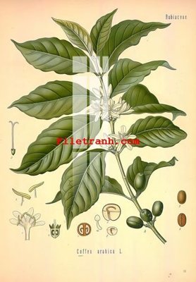 Tải file File gốc in tranh nền tường tổng hợp K64083 (PSD) cho in tranh kính