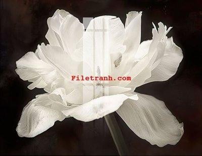 File gốc File gốc in tranh nền tường tổng hợp K64249 (in lụa) cao cấp