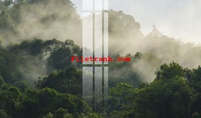 File tranh File gốc in tranh nền tường tổng hợp K64374 (gốc) chủ đề thành phố