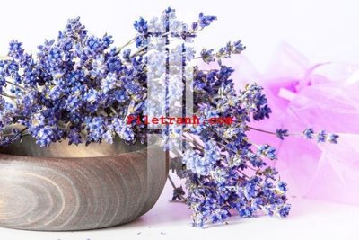 File gốc in ấn File gốc in tranh nền tường tổng hợp K64404 độ phân giải cao