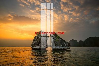 File tranh File gốc in tranh nền tường tổng hợp K64446 (bản gốc) in lụa 3D