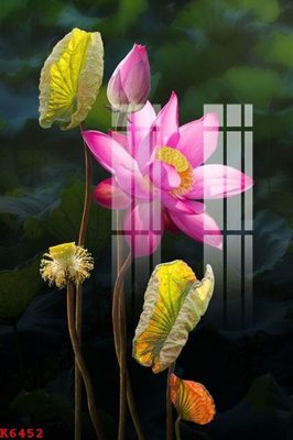 Mua file ảnh gốc File gốc in tranh tổng hợp K6452 (chất lượng cao)