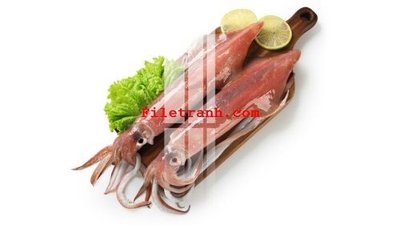 File tranh File gốc in tranh nền tường tổng hợp K64520 (bản gốc) in lụa 5D