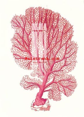 File gốc File gốc in tranh nền tường tổng hợp K64665 (in 3D) cho trang trí