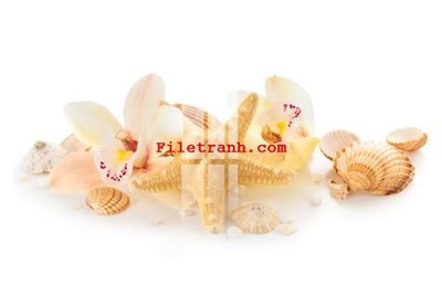 File gốc File gốc in tranh nền tường tổng hợp K64864 (in lụa) tranh thuận buồm