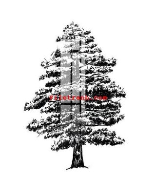 File gốc File gốc in tranh nền tường tổng hợp K65098 (vector) cho in ấn