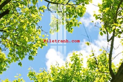 Tệp tin gốc File gốc in tranh nền tường tổng hợp K65415 (dùng cho in) File gốc in tranh nền tường tổng hợp K65415