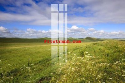 Ảnh gốc File gốc in tranh nền tường tổng hợp K65983 (siêu chi tiết) để in ấn