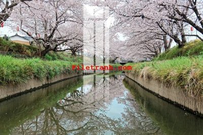 File gốc in ấn File gốc in tranh nền tường tổng hợp K66208 (sẵn sàng tải về)