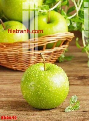 File tranh File gốc in tranh nền tường tổng hợp K66645 (ảnh gốc) độ nét vượt trội