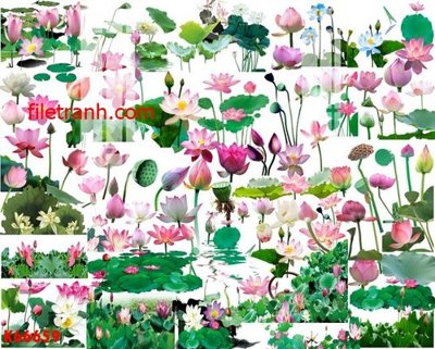 Tệp tin gốc File gốc in tranh nền tường tổng hợp K66659 (chất lượng cao) File gốc in tranh nền tường tổng hợp K66659