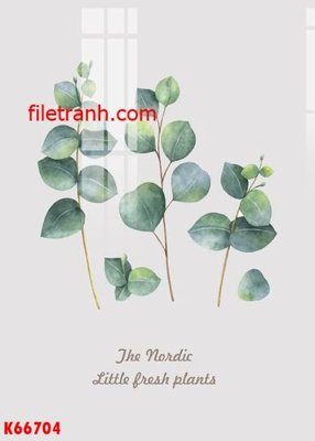 File in trần File gốc in tranh nền tường tổng hợp K66704 (bản gốc) 5D